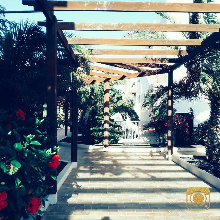 The Colors House, 653 Y 654 - Private Apartment Costa Teguise Dış mekan fotoğraf